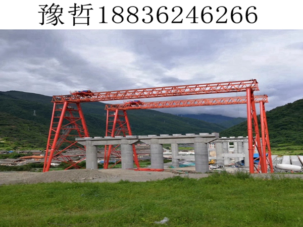 柳州100吨龙门吊